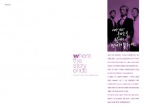 flash in sight, 2009 by where the story ends