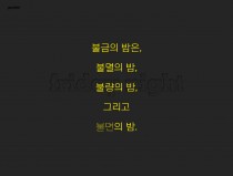 불멸의 밤, 불량의 밤 그리고 불면의 밤