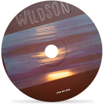 one on oneby wildson (feat. astyn turr)