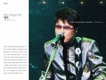 a red dragonfly by Cho yongpil