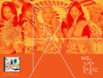 피노꾜, 그녀들이 돌아왔죠.