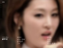 더지니어스 블랙가넷