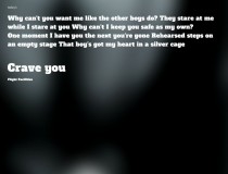 crave you by flight facilities