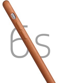 iPhone 6s + leather case