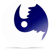 space cowboy by jamiroquai