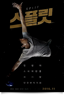 스플릿★