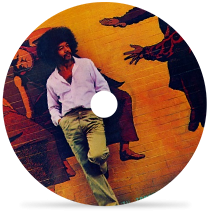 Voce E Eu by Raul de Souza