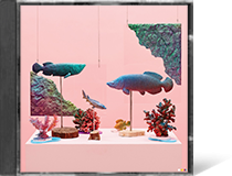 WALKIN’ vol.2, peejay