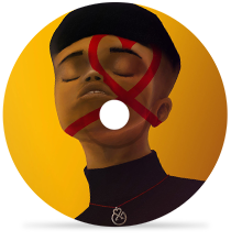 In Love and Warby XamVolo