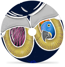 zebraby SOMA