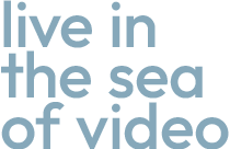 tving, netflix, wavve, coupang.